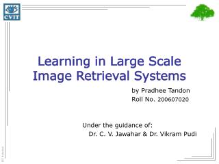 Learning in Large Scale Image Retrieval Systems