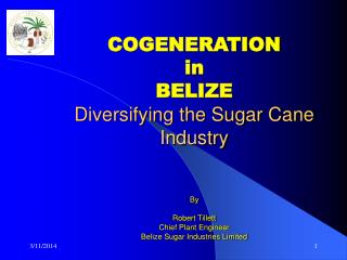COGENERATION in BELIZE Diversifying the Sugar Cane Industry By Robert Tillett Chief Plant Engineer Belize Sugar Indust