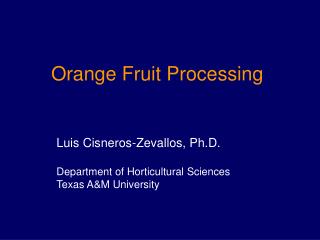 Orange Fruit Processing