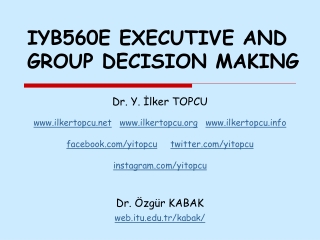 IYB560E EXECUTIVE AND GROUP DECISION MAKING