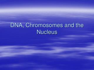 DNA, Chromosomes and the Nucleus
