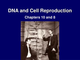 DNA and Cell Reproduction