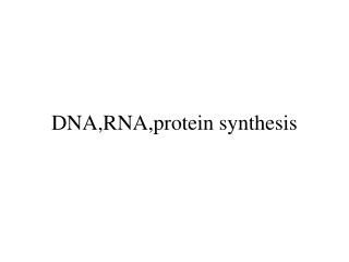 DNA,RNA,protein synthesis