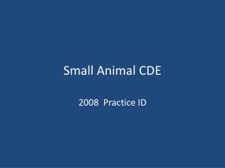 Small Animal CDE