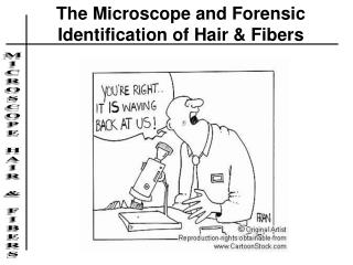The Microscope and Forensic Identification of Hair & Fibers