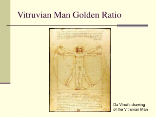 Vitruvian Man Golden Ratio