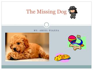 The Missing Dog