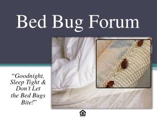 Bed Bug Forum
