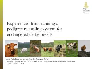 Experiences from running a pedigree recording system for endangered cattle breeds