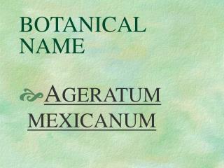 BOTANICAL NAME