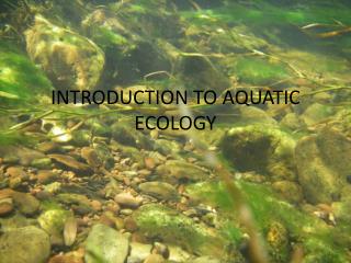 PPT - INTRODUCTION TO AQUATIC ECOLOGY PowerPoint Presentation, free ...