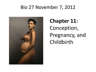 Bio 27 November 7, 2012