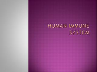 PPT - HUMAN IMMUNE SYSTEM PowerPoint Presentation, free download - ID ...