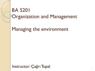 BA 5201 Organization and Management Managing the environment