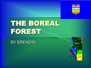 THE BOREAL FOREST