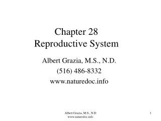 Chapter 28 Reproductive System