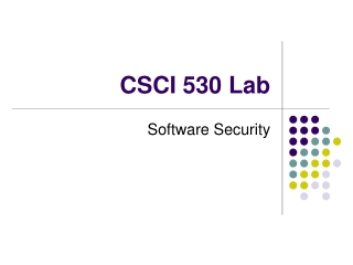 CSCI 530 Lab
