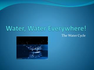 Water, Water Everywhere!