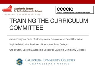 Training the curriculum committee