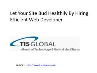 Let Your Site Bud Healthily By Hiring Efficient Web Developer