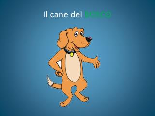 Un bosco per amico
