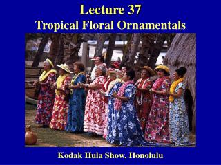 Lecture 37 Tropical Floral Ornamentals