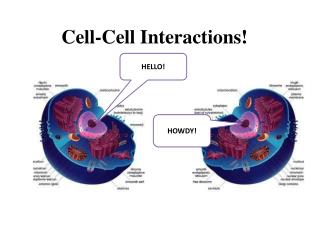 Cell-Cell Interactions!