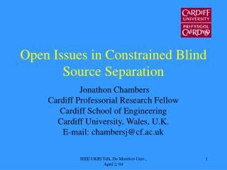 Open Issues in Constrained Blind Source Separation