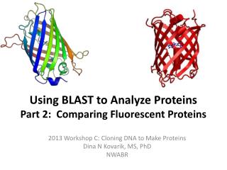 Using BLAST to Analyze Proteins Part 2: Comparing Fluorescent Proteins