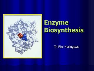 Enzyme Biosynthesis