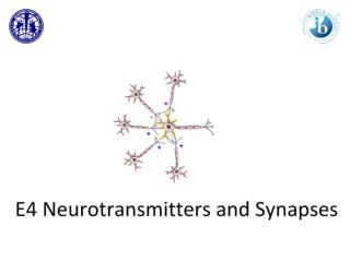 Communication via Synapses