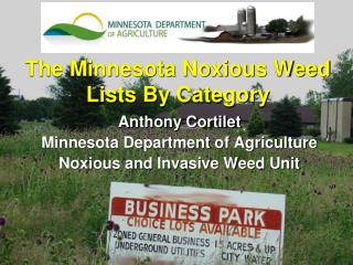 The Minnesota Noxious Weed Lists By Category