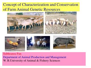 Concept of Characterization and Conservation of Farm Animal Genetic Resources