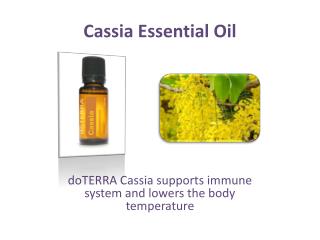 Find Cassia Essential Oil at doTERRA