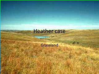 Heather case