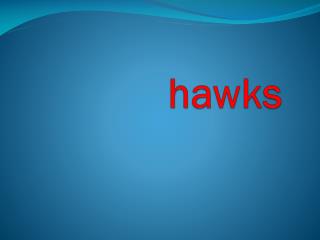 hawks
