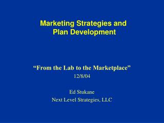 Marketing Strategies and Plan Development