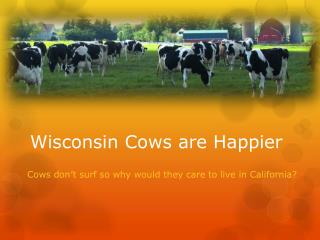 Wisconsin Cows are Happier