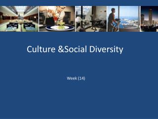 Culture &Social Diversity