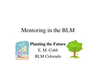 Mentoring in the BLM