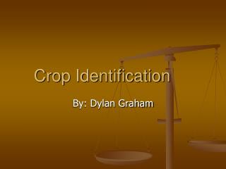 Crop Identification
