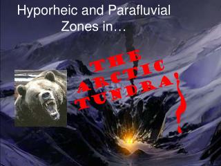 Hyporheic and Parafluvial Zones in…