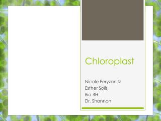 PPT - Chloroplast PowerPoint Presentation - ID:2779763