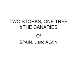 TWO STORKS, ONE TREE &THE CANARIES