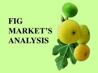 FIG MARKET’S ANALYSIS
