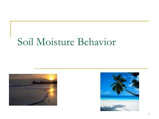 Soil Moisture Behavior
