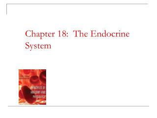 Chapter 18: The Endocrine 	System