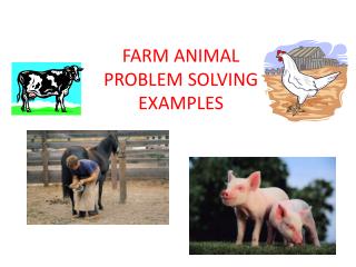 problem solving examples in animals