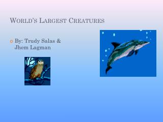 World’s Largest Creatures