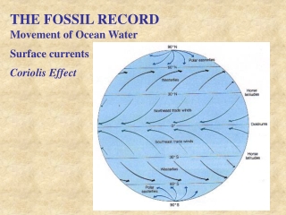 THE FOSSIL RECORD Movement of Ocean Water Surface currents Coriolis Effect